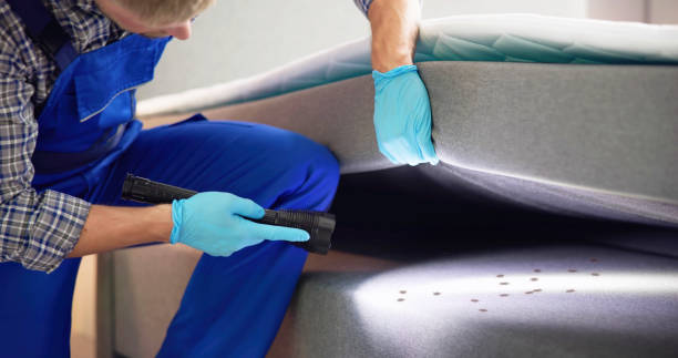 Best Pest Removal Services  in Rusk, TX