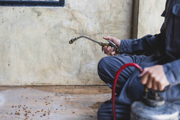Best Emergency Pest Control  in Rusk, TX
